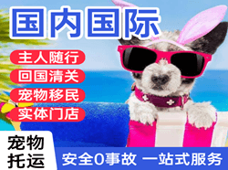 虹桥航空托运国际宠物托运 【国